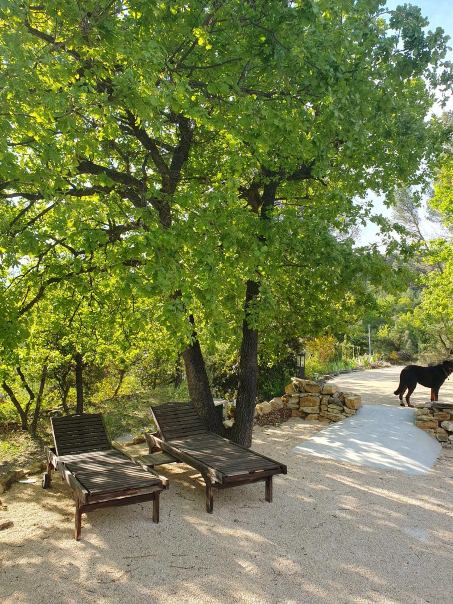 Entrechaux Le Soleil Du Ventoux 빌라 외부 사진